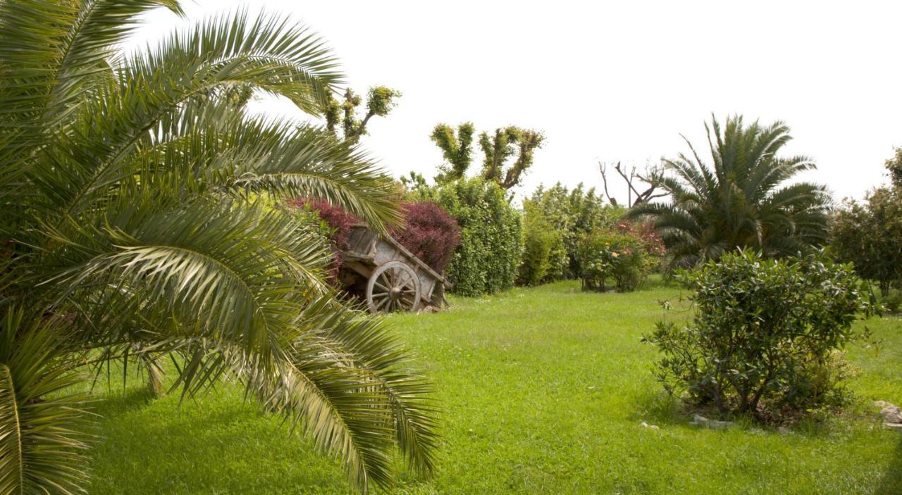 Il Girasole Country House Camerano Exterior foto