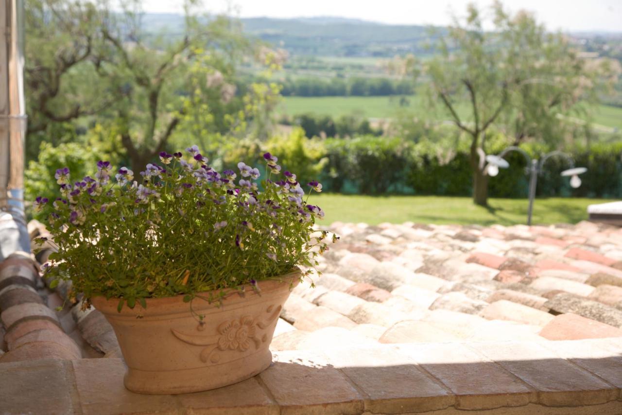 Il Girasole Country House Camerano Exterior foto
